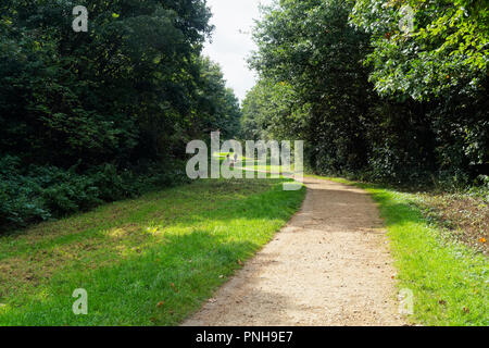 Ein Stein Pfad schlängelt sich zwischen breiten Grünstreifen und hohen Bäumen, in der Ferne zwei Zahlen einen kleinen Hund spazieren. Stockfoto