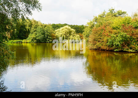 Um die fast flache Gewässer auf einen kleinen See der Bäume und Sträucher im Herbst beginnen ihre Farben zu tragen. Die schwachen Ende Sommer Himmel ist in der Wa wider Stockfoto