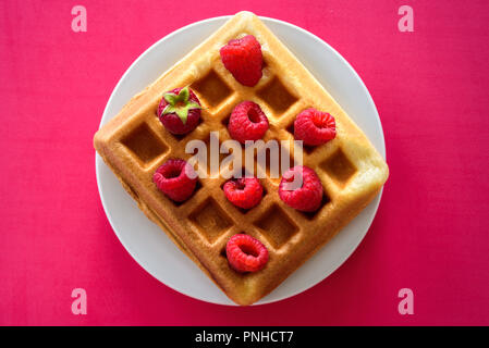 Belgische Waffeln mit Himbeeren auf rotem Hintergrund Stockfoto