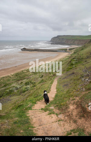 Abschnitt des Cleveland Weise Coast Path oben Cattersty Sands, Skinningrove, North Yorkshire. Eine trübe Frühlingstag. Stockfoto