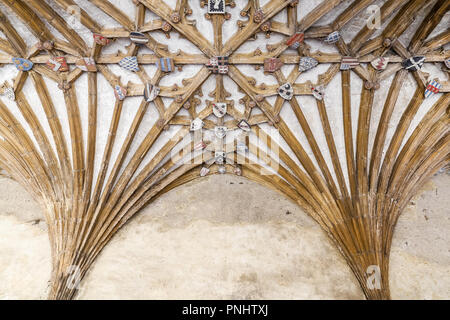 Alte Holzdecke strurcture Stockfoto