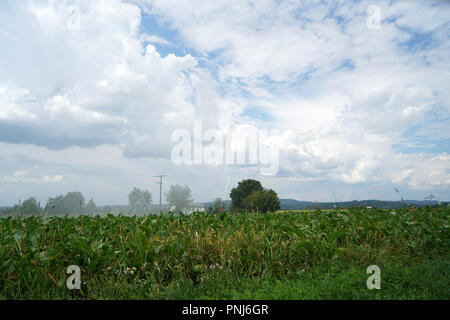 An besonders heißen Sommertagen, die Felder in Deutschland muss zusätzlich bewässert werden. Stockfoto