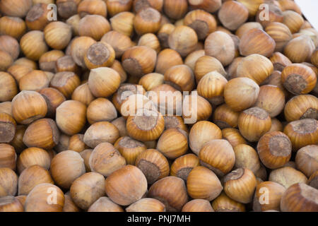 Verschiedene frische und bunte Gemüse auf dem Markt im September Stockfoto