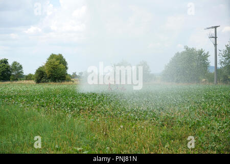 An besonders heißen Sommertagen, die Felder in Deutschland muss zusätzlich bewässert werden. Stockfoto