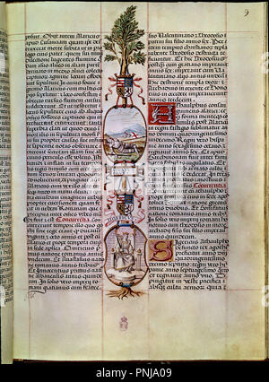 GENEALOGIA DE LOS REYES DE ESPAÑA - ATAULFO REY GODO (410-415). Thema: CARTAGENA ALONSO DE. Lage: Biblioteca Nacional - coleccion. MADRID. Spanien. Stockfoto