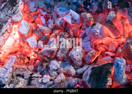 Hell glühende Kohlen mit grauer Asche für barbeсue, natürliche Hintergrund oder Textur Stockfoto