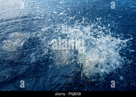 Taucher ins Wasser mit Big Splash und Blasen zwischen Licht Wellen Stockfoto