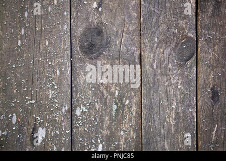 Alte hölzerne Grau ungehobelte Bretter Oberfläche mit Ästen und Rissen, können als Hintergrund verwendet werden Stockfoto