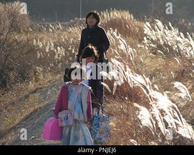 Original Film Titel: TREELESS MOUNTAIN. Englischer Titel: TREELESS MOUNTAIN. Jahr: 2008. Regisseur: So Yong Kim. Stockfoto