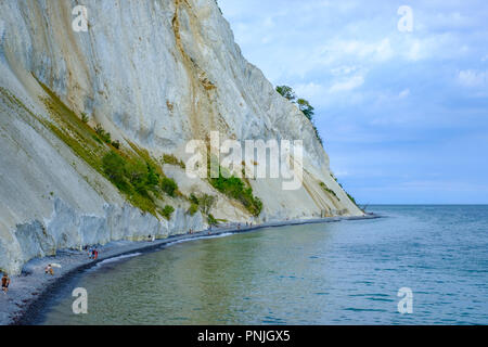 Moens Klint, die weißen Klippen von Moen, Moen Island, Dänemark, Skandinavien, Europa. Stockfoto