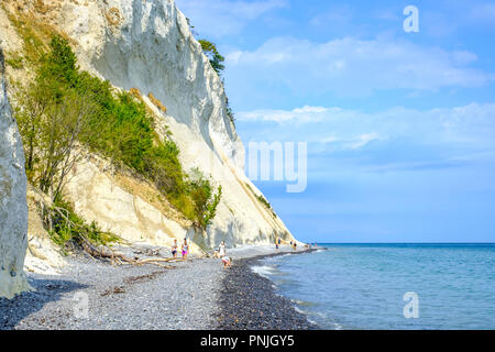 Moens Klint, die weißen Klippen von Moen, Moen Island, Dänemark, Skandinavien, Europa. Stockfoto