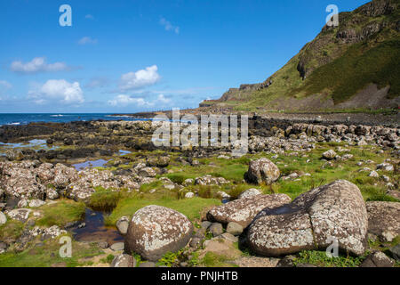 Der Blick Richtung Giant's Causeway in Nordirland. Stockfoto