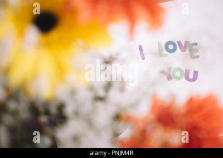 Bunte Buchstaben ich liebe Dich und gerbera Strauß - liebe Hintergrund Stockfoto