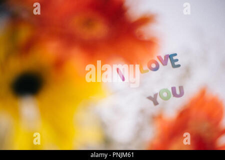 Bunte Buchstaben ich liebe Dich und gerbera Strauß - liebe Hintergrund Stockfoto