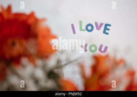 Bunte Buchstaben ich liebe Dich und gerbera Strauß - liebe Hintergrund Stockfoto