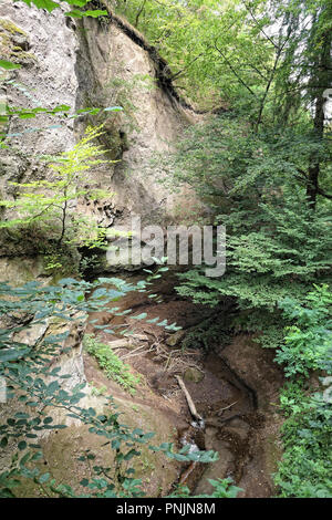 Landschaft beim Wandern in der Wolfsschlucht (engl. Wolf Schlucht) in der Eifel in Deutschland. Alten Wald und Strom fließt durch weichen vulkanischen Roc Stockfoto