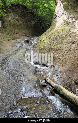 Landschaft beim Wandern in der Wolfsschlucht (engl. Wolf Schlucht) in der Eifel in Deutschland. Alten Wald und Strom fließt durch weichen vulkanischen Roc Stockfoto