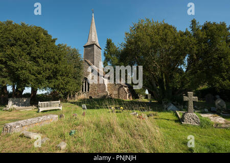 Alte Eibe, Taxus Whipplei, Crowhurst, St Georges Curuch, Surrey, mit Schindeln Spire, älteste Baum in England 4000 Jahre alt Stockfoto