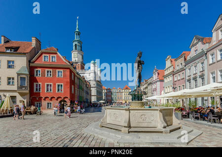 Die Provinz Posen, Großpolen, Polen. Apollo Brunnen auf dem Alten Marktplatz, Rathaus im Hintergrund, Altstadt. Stockfoto