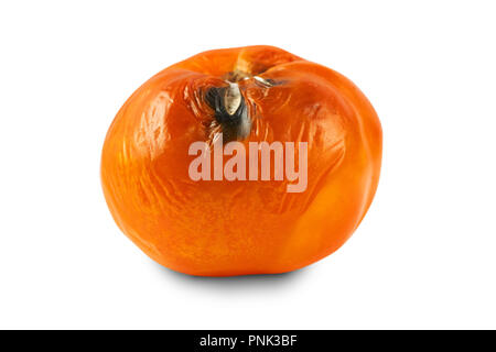 Verdorben, faule gelbe Tomaten auf weißem Hintergrund. Stockfoto