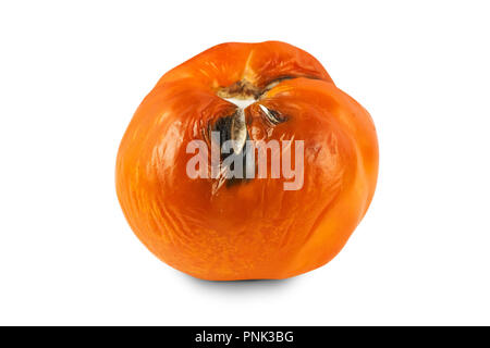 Verdorben, faule gelbe Tomaten auf weißem Hintergrund. Stockfoto