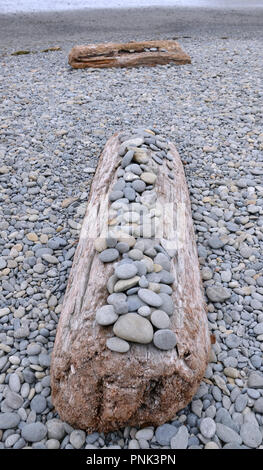 Glatte meer Steine auf Treibholz auf der Olympic Peninsula, Washington State, USA Stockfoto