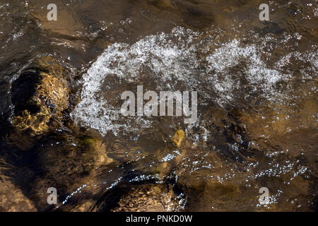 Die kleinen Arkansas River verläuft in der Nähe der Downtown Historic District von der kleinen Bergstadt Salida, Colorado, USA Stockfoto