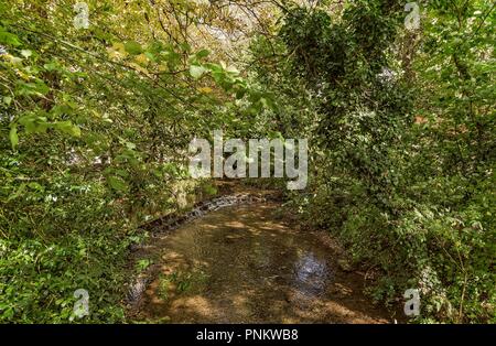 Einen Stream mit einem kleinen Wasserfall in Thornton-le-Dale in North Yorkshire. Das Sonnenlicht filtert durch die Bäume zum Wasser. Stockfoto