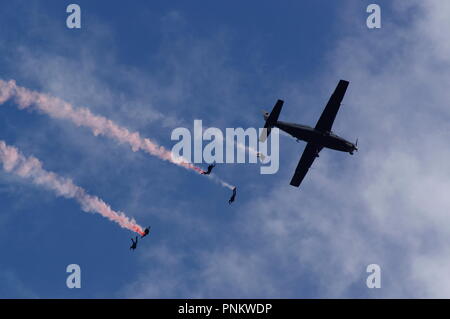RAF Falcons Fallschirmsprungteam und Cessna Caravan, Stockfoto