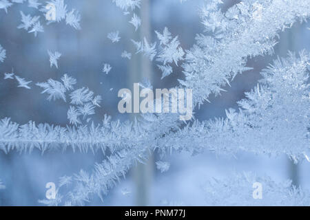 Maßwerk frosty Muster von zwei sich schneidende Streifen auf Winter Blue Window. Stockfoto