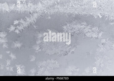 Anmutige Weihnachten frosty Muster auf Winter Fenster. Frosted eisigen Textur. Stockfoto