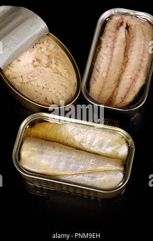 Thunfisch, Sardinen, Makrelen auf Schwarz Stockfoto