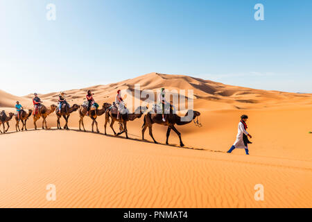 Touristen fahren mit Dromedar (Camelus dromedarius), Karawane durch Sanddünen in der Wüste Erg Chebbi, Merzouga, Sahara Stockfoto