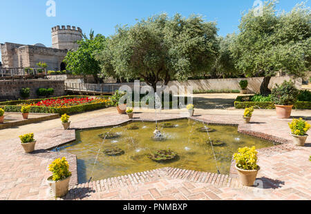 Brunnen, Alcázar de Jerez, maurische Festung, Jerez de la Frontera, Provinz Cádiz, Andalusien, Spanien Stockfoto