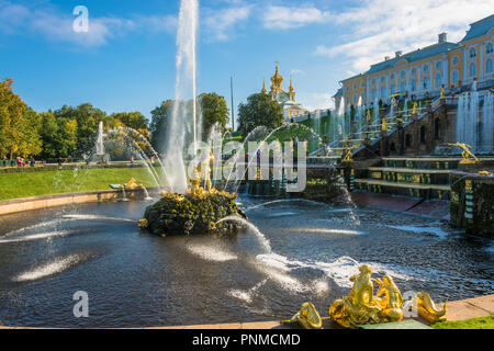 Peterhof, Russland - 28 September, 2017: Die simson Brunnen im Herbst, sonnigen Tag am 28. September 2017 in Peterhof, Russland. Stockfoto
