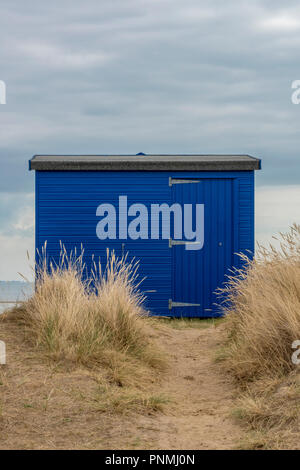 Eine einzelne Beach Hut blau lackiert mit marram Gräser und Dünen an der Küste der Isle of Wight am Meer. Stockfoto