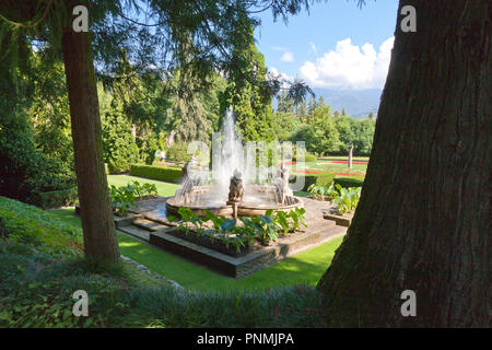 Die botanischen Gärten der Villa Taranto (Giardini Botanici Villa Taranto) ist in der Stadt Pallanza am westlichen Ufer des Lago Maggiore. Die Gärten waren e Stockfoto