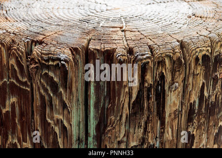 Oben Ansicht von Baumringen und Seitenansicht verwittertes Holz Pier, ein Hintergrund vintage grunge Textur der blasse Farbe, eine detaillierte raue Oberfläche, vertikal Stockfoto