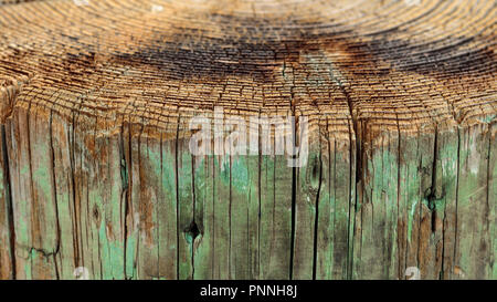 Oben Ansicht von Baumringen und Seitenansicht verwittertes Holz Pier, ein Hintergrund vintage grunge Textur der blasse Farbe, eine detaillierte raue Oberfläche, vertikal Stockfoto