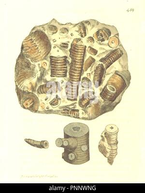 Bild von Seite 232 der "britischen Mineralogie oder farbigen Figuren bestimmt die Mineralogie von Großbritannien zu beleuchten. Von J. Sowerby (mit Unterstützung). F. P'. Stockfoto