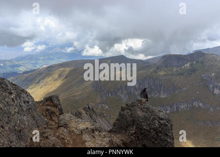 Adler auf ruca Pichincha in Quito, Ecuador Stockfoto