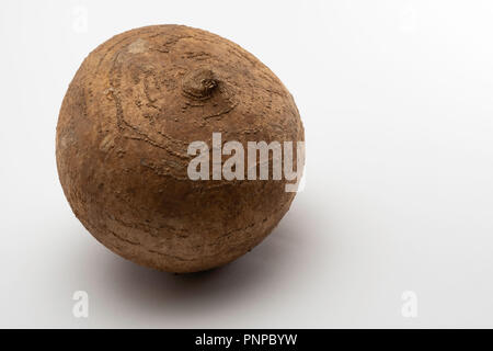 Pachyrhizus erosus, allgemein bekannt als Jicama, Mexikanische yam Bean, oder mexikanischen Rübe, ist der Name einer nativen Mexikanischen Weinstock, obwohl der Name am häufigsten Stockfoto