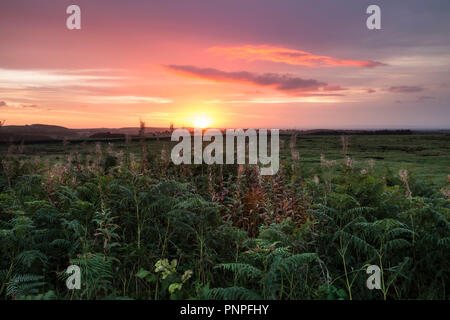 Teesdale, County Durham, UK. Samstag, 22. September 2018. Es war ein kühler, aber bunt herbstliches Start in den Tag, als die Sonne aufging über die Mauren von Teesdale in Nordost-england. Quelle: David Forster/Alamy leben Nachrichten Stockfoto