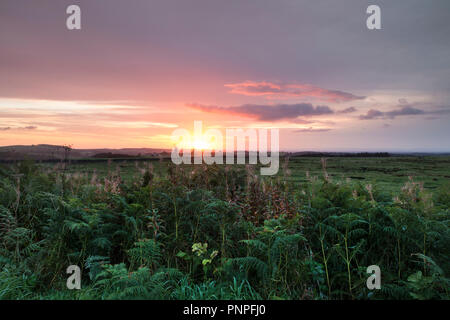 Teesdale, County Durham, UK. Samstag, 22. September 2018. Es war ein kühler, aber bunt herbstliches Start in den Tag, als die Sonne aufging über die Mauren von Teesdale in Nordost-england. Quelle: David Forster/Alamy leben Nachrichten Stockfoto