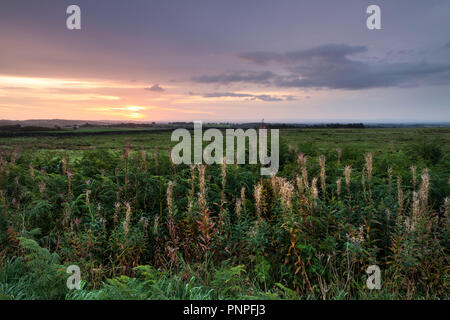 Teesdale, County Durham, UK. Samstag, 22. September 2018. Es war ein kühler, aber bunt herbstliches Start in den Tag, als die Sonne aufging über die Mauren von Teesdale in Nordost-england. Quelle: David Forster/Alamy leben Nachrichten Stockfoto