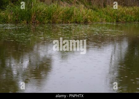 Ashford, Kent, Großbritannien. 22 Sep, 2018. Großbritannien: Das Wetter wechselhafter Witterung weiterhin als es beginnt unten mit Regen auf einem Kanal Kanal Graben zu gießen. © Paul Lawrenson 2018, Foto: Paul Lawrenson/Alamy leben Nachrichten Stockfoto