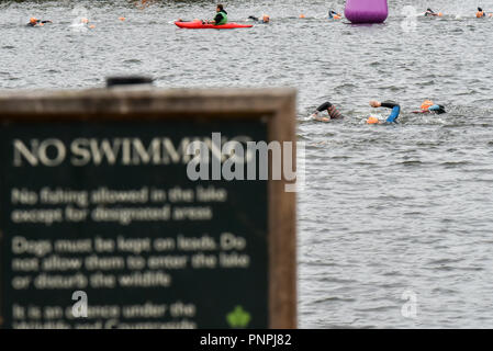 London, Großbritannien. 22. September 2018. Schwimmer in der Serpentine für Serpentine Schwimmen das eintägige Open Water Swimming Festival im Hyde Park. Quelle: Matthew Chattle/Alamy leben Nachrichten Stockfoto