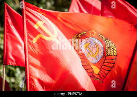 Tambow, Tambow, Russland. 22 Sep, 2018. Die dritte Stufe des russischen Protest gegen die Rentenreform, die von der Kommunistischen Partei organisiert, in Tambow (Russland). In der Foto - die Flagge der UDSSR Credit: Demian Stringer/ZUMA Draht/Alamy leben Nachrichten Stockfoto