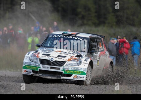 Omagh, Irland. Samstag, 22. September 2018. Paul McCann und Paddy Plunkett (Skoda Fabia) streuen die Kies während der BushWhacker Rally Credit: Graham Service/Alamy leben Nachrichten Stockfoto