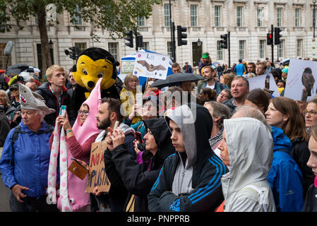 London, Großbritannien. 22. September 2018. Die Völker zu Fuß für die Tierwelt. Campaigning britischen Tierwelt zu speichern. Eine Kundgebung in Hyde Park wurde von Naturforscher gerichtet und Rundfunksprecher Chris Packham und seine Botschafter. Marchers ging dann nach Richmond Terrance gegenüber Downing Street, viele Spielen den Sound von Vogelgesang. Chris Packham adressiert die Demonstranten, dann nahm eine Gruppe von jüngeren Mitkämpfer, mit ihm zu einer Petition, die Downing Street 10. Organisiert von Chris Packham. Credit: Stephen Bell/Alamy Leben Nachrichten. Stockfoto